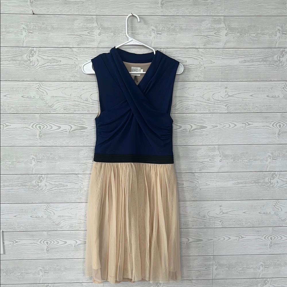 Anthropologie -Elegant Blue and Cream Shifon Dress